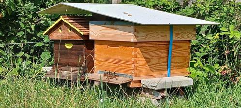 Bijenvolk te koop., Dieren en Toebehoren, Pluimvee | Toebehoren, Zo goed als nieuw, Broedmachine, Ophalen