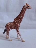 Schleich Wild Life Giraffe Giraf mannetje 14749, Ophalen of Verzenden, Zo goed als nieuw, Paard, Beeldje of Figuurtje