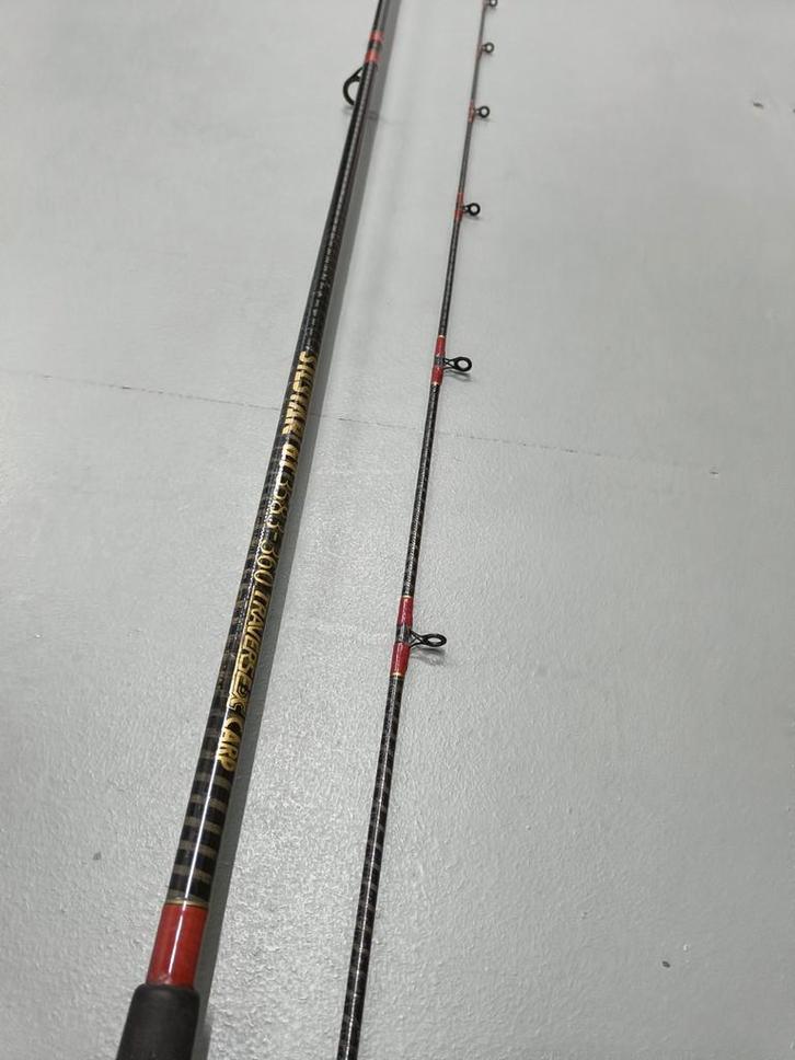 Silstar Traverse X Carp penhengel 3.60m 2d. 1 3/4-2 lb, Watersport en Boten, Hengelsport | Karpervissen, Gebruikt, Werphengel