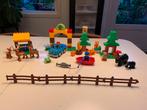 Duplo bos met dieren., Ophalen of Verzenden, Gebruikt, Duplo