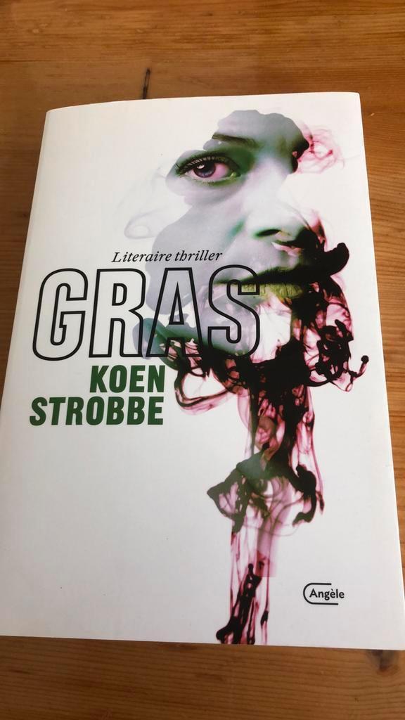 Gras - Koen Strobbe, Boeken, Thrillers, Zo goed als nieuw, Nederland, Ophalen of Verzenden