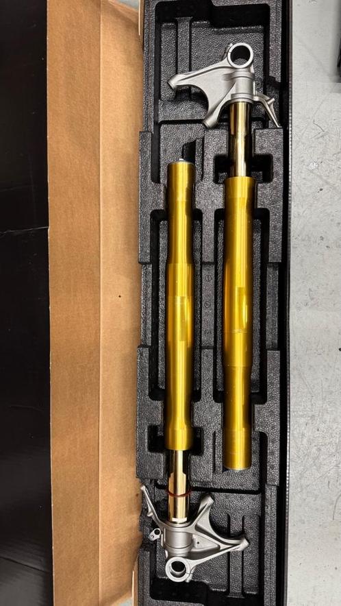 Öhlins FGR TTX25 Ducati Panigale Voorvork, Motoren, Onderdelen | Ducati, Gereviseerd, Ophalen
