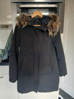 winterjas dames, Kleding | Dames, Jassen | Winter, Maat 38/40 (M), Overige kleuren, Ophalen of Verzenden, Zo goed als nieuw