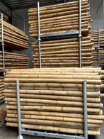 Bamboepalen, bamboestammen, bamboestok,, Ophalen of Verzenden, Nieuw, 180 tot 250 cm, Palen