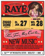 2 Staanplaatsen RAYE Ziggo Dome 28 januari, Twee personen