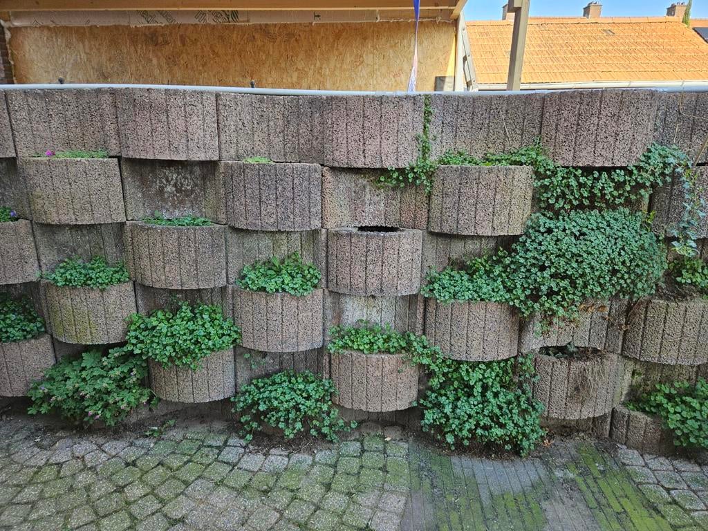 Betonnen bloembakken, Tuin en Terras, Bloembakken en Plantenbakken, Ophalen, Gebruikt, Rond