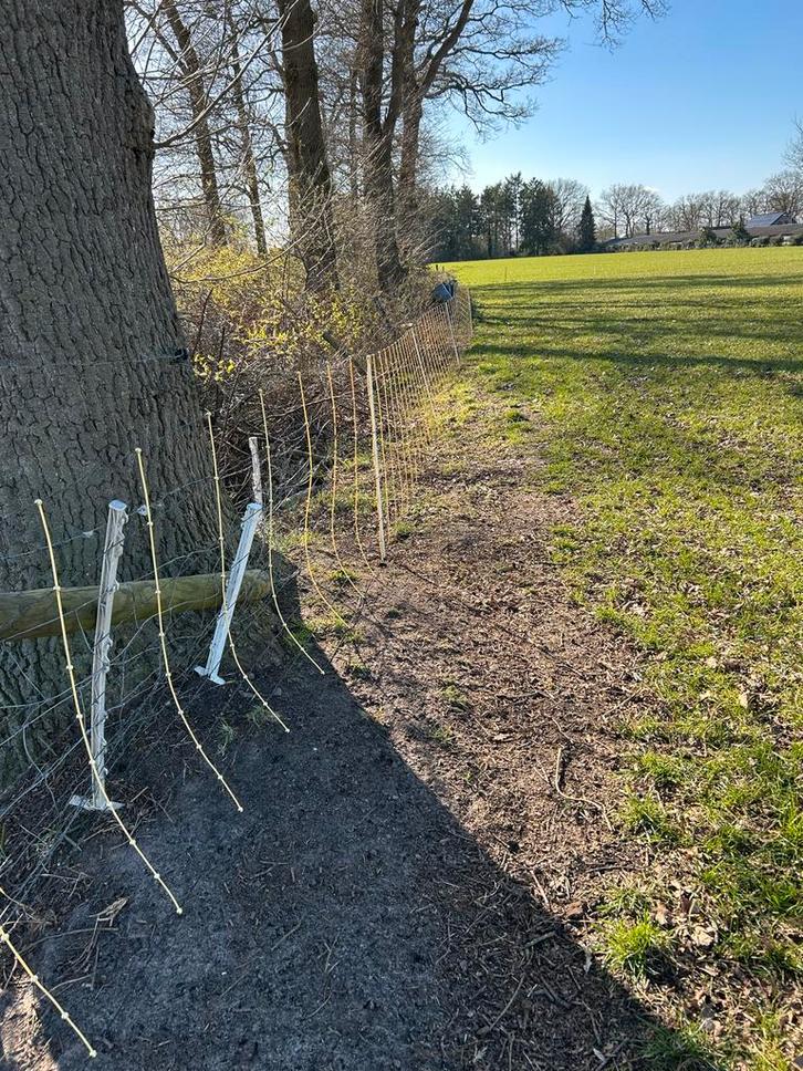 Goeie Schapen afrastering netten te koop!, Dieren en Toebehoren, Schapen, Geiten en Varkens, Schaap, Meerdere dieren