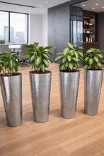 Plantenbak/ Bloembak / conische vaas, Ophalen, Overige materialen, Xx, Overige kleuren