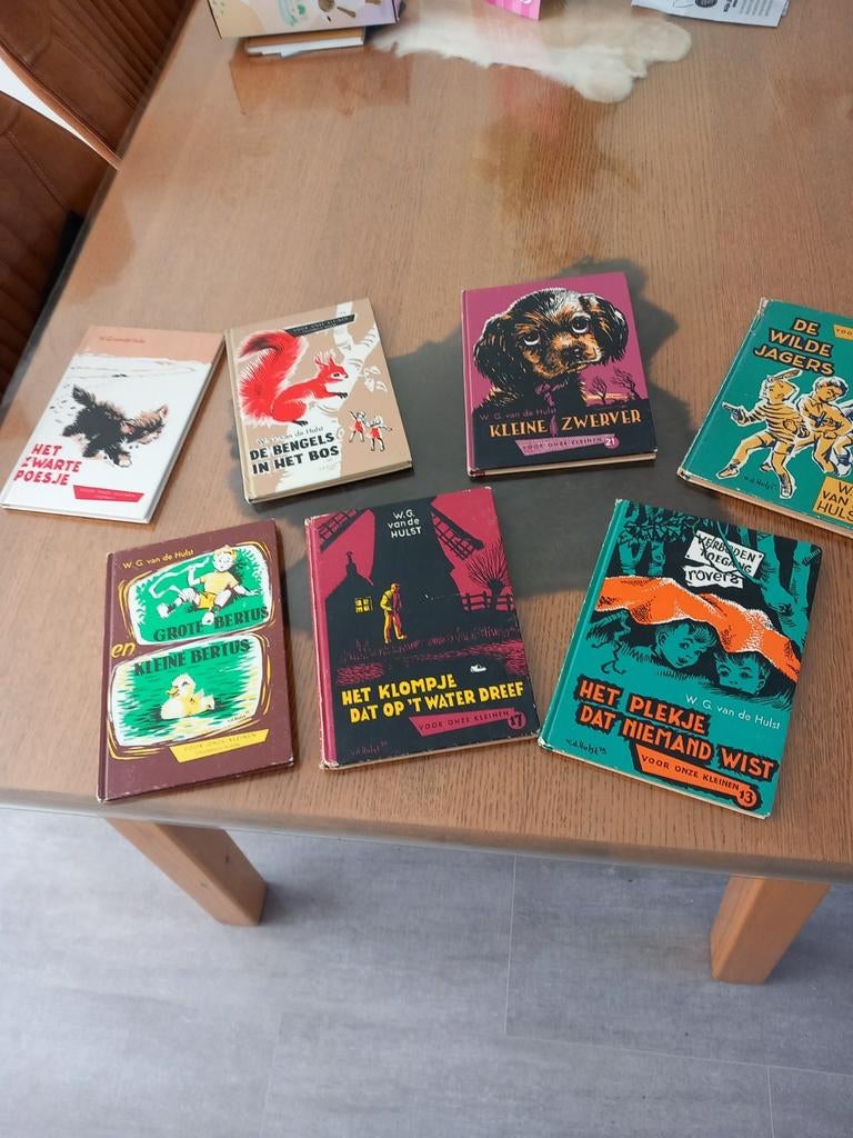 W.G. van de Hulst leesboekjes - Diverse titels, Boeken, Kinderboeken | Jeugd | onder 10 jaar, Ophalen of Verzenden