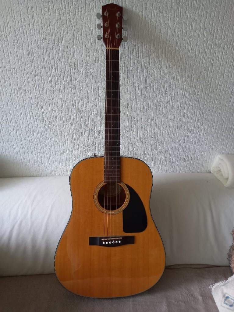 Fender Akoestische gitaar, Ophalen, Gebruikt, Western- of Steelstringgitaar, Met (piezo-)element