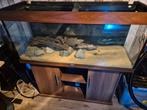 Juwel rio 240, Ophalen, Gebruikt, Leeg aquarium