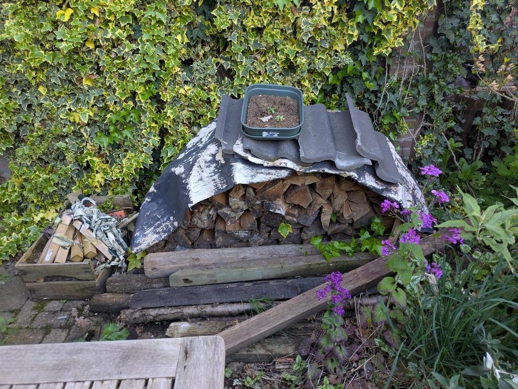 Gedroogd brandhout - diverse houtsoorten, Tuin en Terras, Haardhout, Minder dan 3 m³, Ophalen of Verzenden, Overige houtsoorten