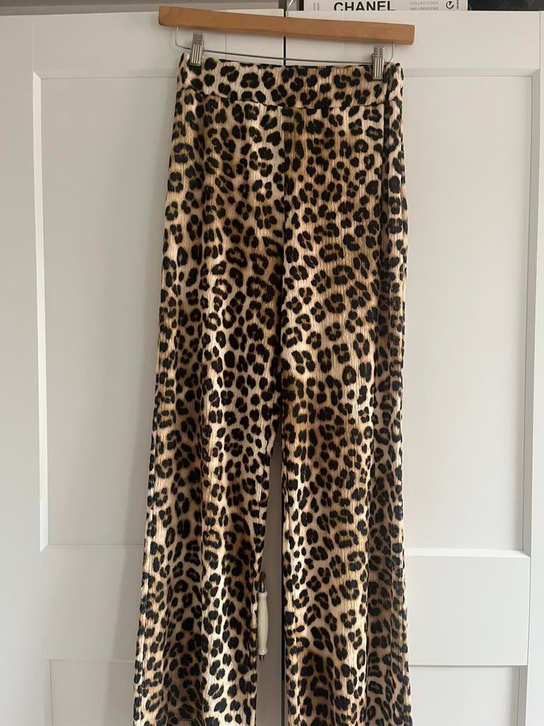 * nieuw * superr Ambika 2 dlg leopard set, Maat 38/40 (M), Bruin, Nieuw, Ophalen of Verzenden