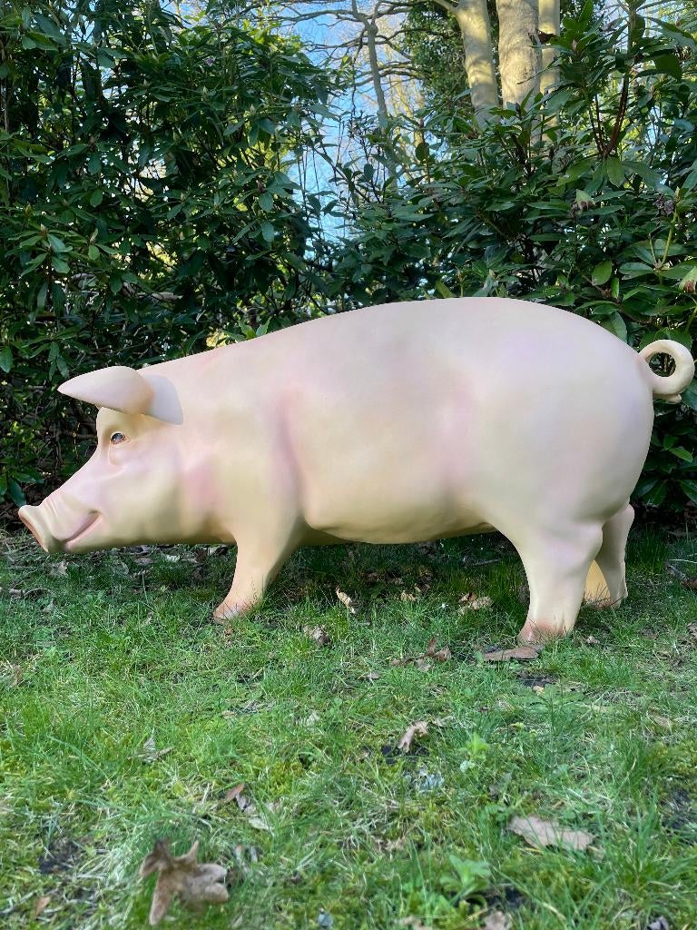 (Tuin)Beeld varken, tuin, gazon, manege, boerderij 100cm, Tuin en Terras, Tuinbeelden, Ophalen, Nieuw, Kunststof, Dierenbeeld