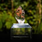 seleniet uit durango, mexico #8, Ophalen of Verzenden, Mineraal