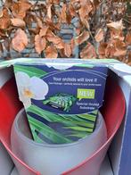 2 Lechuza orchideeënpotten, Kunststof, Rond, Nieuw, Ophalen of Verzenden