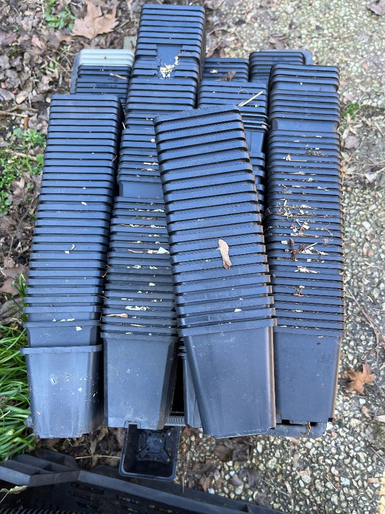 Plastic kweek potjes, Tuin en Terras, Bloempotten, Ophalen, Kunststof, Gebruikt, Vierkant