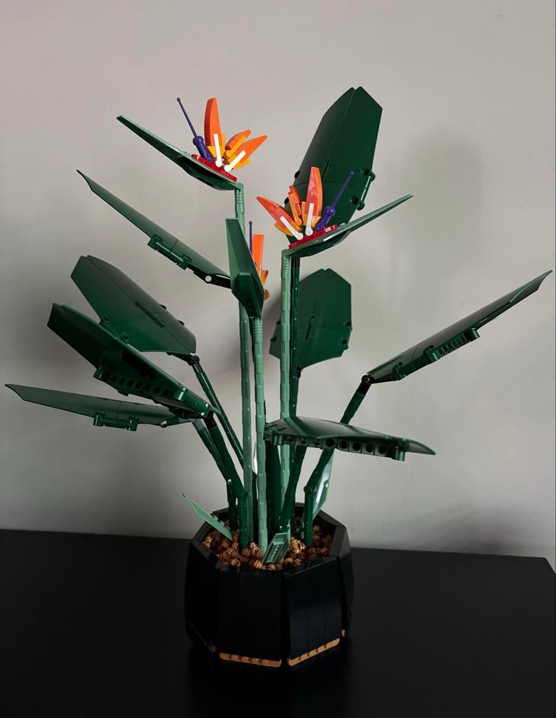 Lego 10289 Paradijsvogelplant, Kinderen en Baby's, Compleet, Lego, Ophalen of Verzenden, Zo goed als nieuw