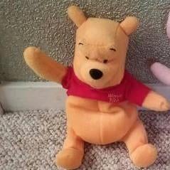 Winnie de Poeh, Ophalen, Winnie de Poeh of vrienden, Zo goed als nieuw, Knuffel