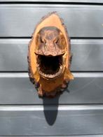 Mooie grote Snoek, Ophalen of Verzenden, Zo goed als nieuw, Overige soorten, Overige typen