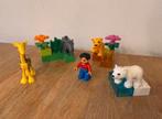 Grote Lego Duplo bundel dierentuin + stenen + dieren, Ophalen of Verzenden, Zo goed als nieuw, Complete set, Duplo