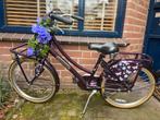 Meisjesfiets 22 inch, Fietsen en Brommers, Fietsen | Meisjes, Ophalen, Gebruikt, 22 inch