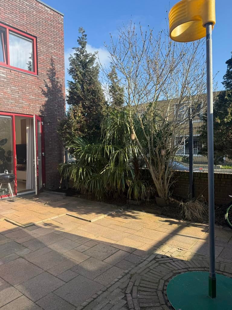 Originele korfbal paal mobiel, twee maten verstelbaar, Sport en Fitness, Korfbal, Ophalen of Verzenden, Korf of Paal