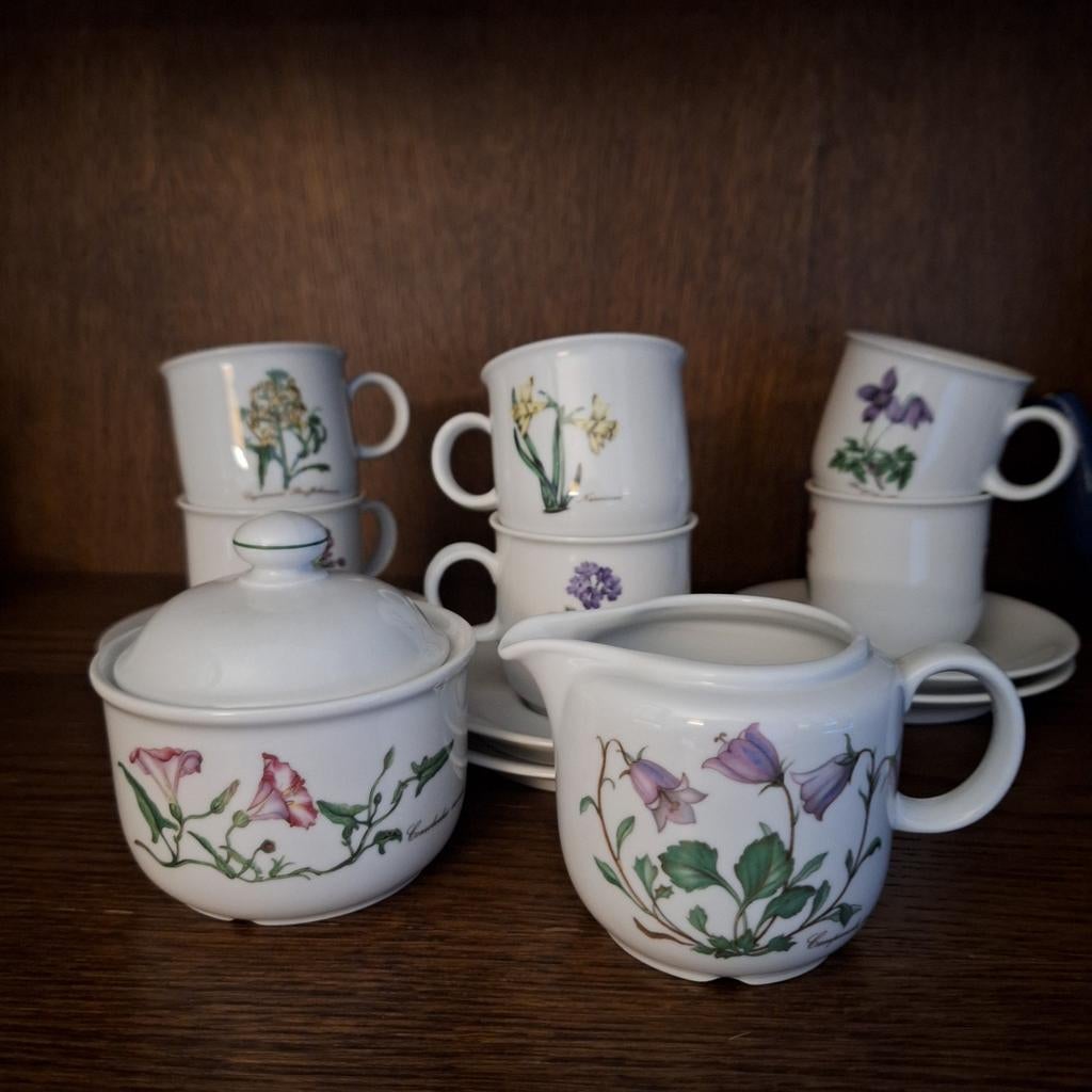 Sellmann Weiden Bavaria servies, Huis en Inrichting, Keuken | Servies, Gebruikt, Ophalen of Verzenden, Overige stijlen, Kop(pen) en/of Schotel(s)