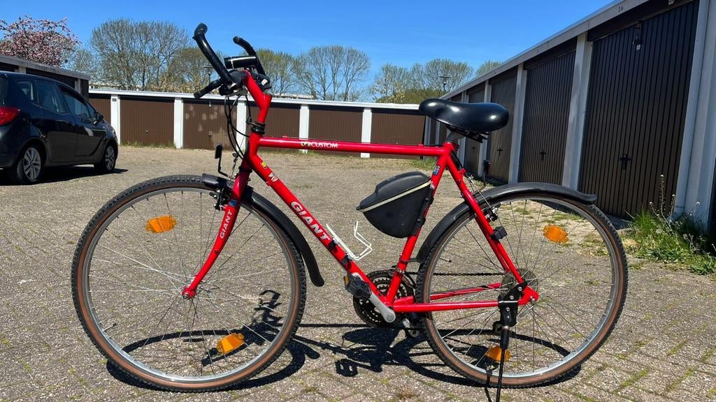 Giant Custom fiets - 14 versnellingen, framemaat 56 cm, Ophalen