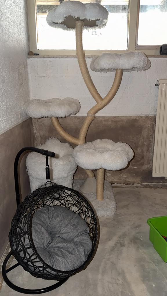 Hang Kattenmand & krabpaal, Dieren en Toebehoren, Kattenmanden, Ophalen, Overige