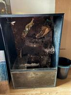 Terrarium/ paludarium 80x50x40,5, Ophalen, Gebruikt, Terrarium of Paludarium