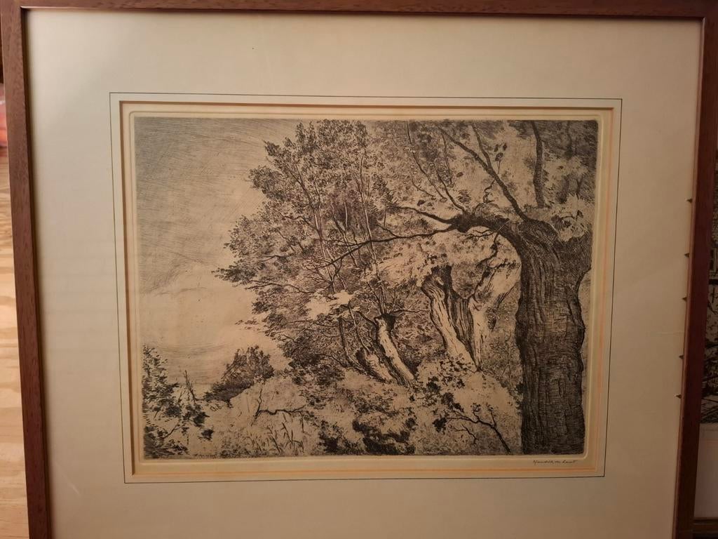 Originele Ets 'Bomenlandschap' van Hendrik de Laat, Ophalen, Landschap, Ets, Origineel
