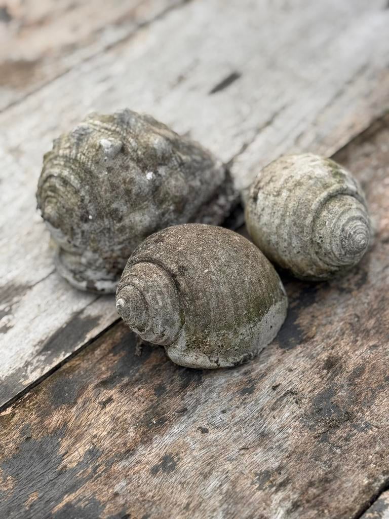 Betonnen schelpen tuin brocante, Ophalen of Verzenden