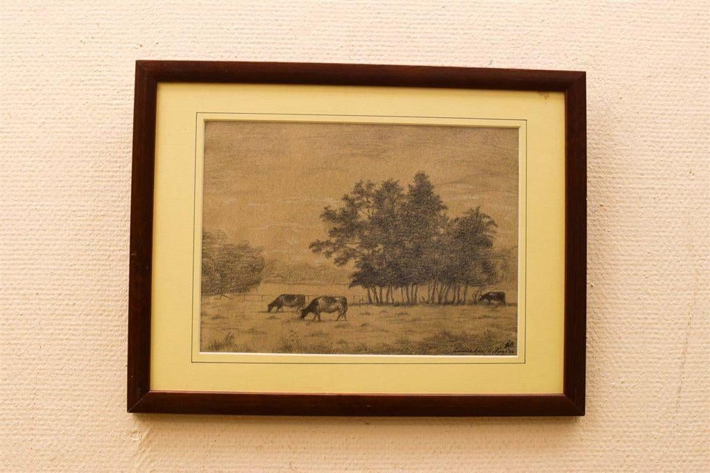 Prent ? Tekening van koeien in de wei 51225, Ophalen of Verzenden, Voor 1920, Ongelopen, Vogel