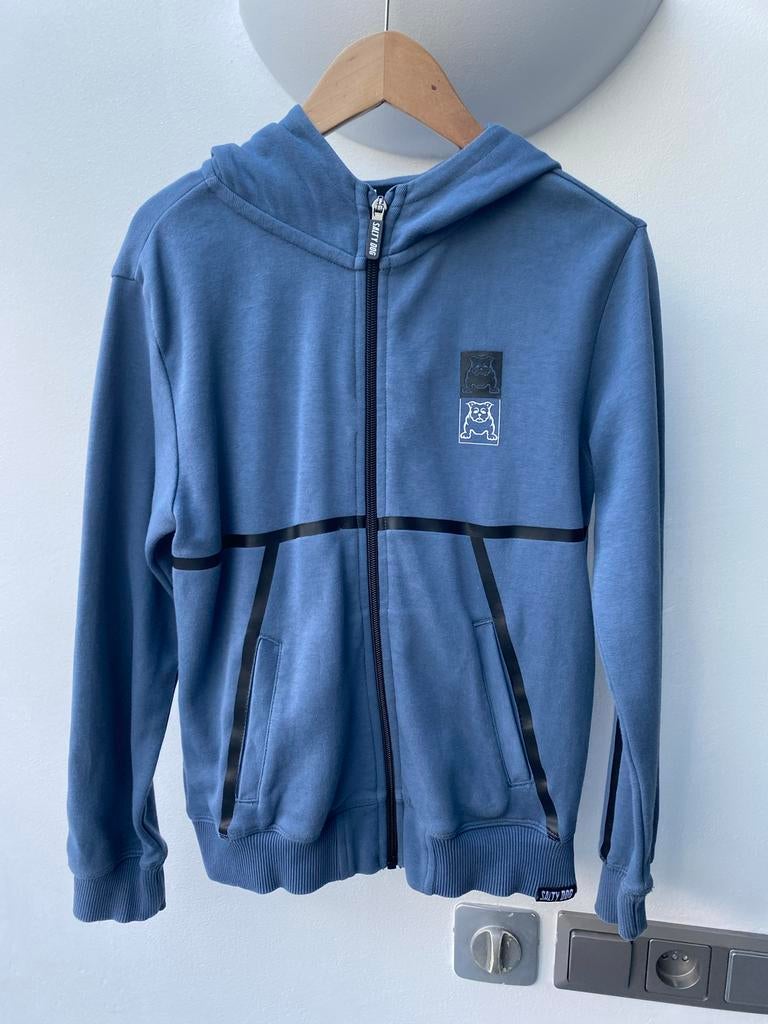 Salty Dog hoodie met rits maat 134, Ophalen of Verzenden, Zo goed als nieuw, Jongen, Trui of Vest