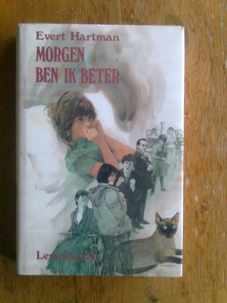 Morgen ben ik beter,  door Evert Hartman, Boeken, Ophalen of Verzenden, Zo goed als nieuw