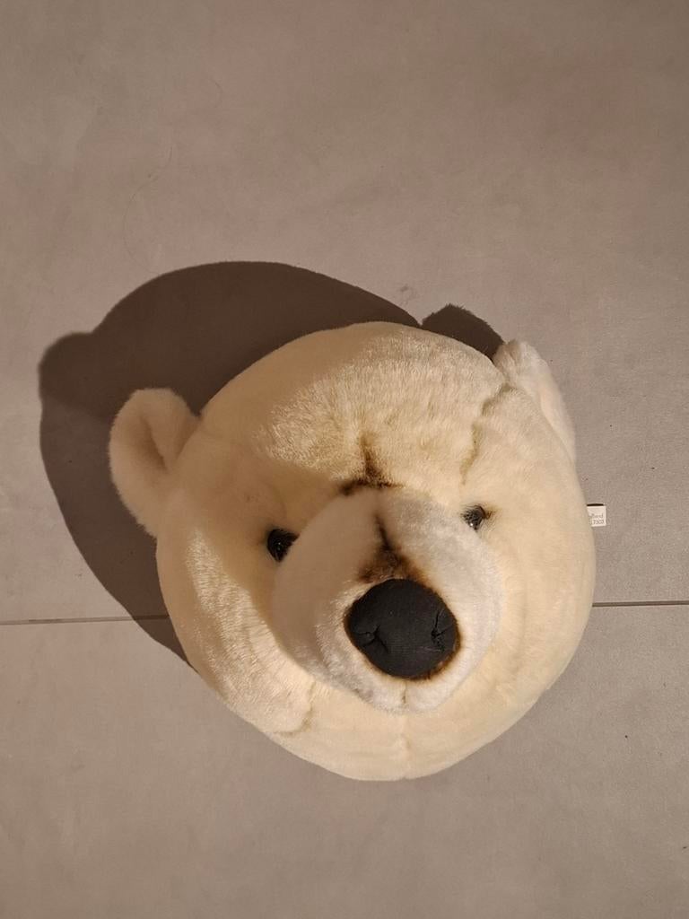 Dierenkop, ijsbeer, Ophalen of Verzenden