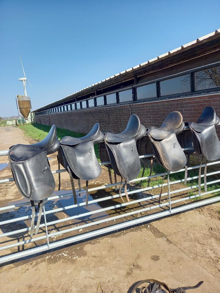 5 dressuurzadels, Ophalen, Gebruikt, Dressuur