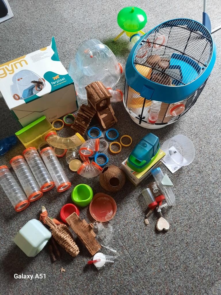Te koop hamsterkooi en bij behorende spullen, Ophalen of Verzenden