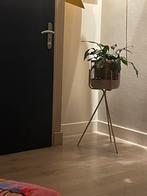 Plant en standaart, Ophalen of Verzenden, Zo goed als nieuw