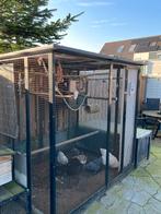 Voliere te koop met forpussen, Dieren en Toebehoren, Ophalen of Verzenden, Gebruikt, Aluminium, Volière