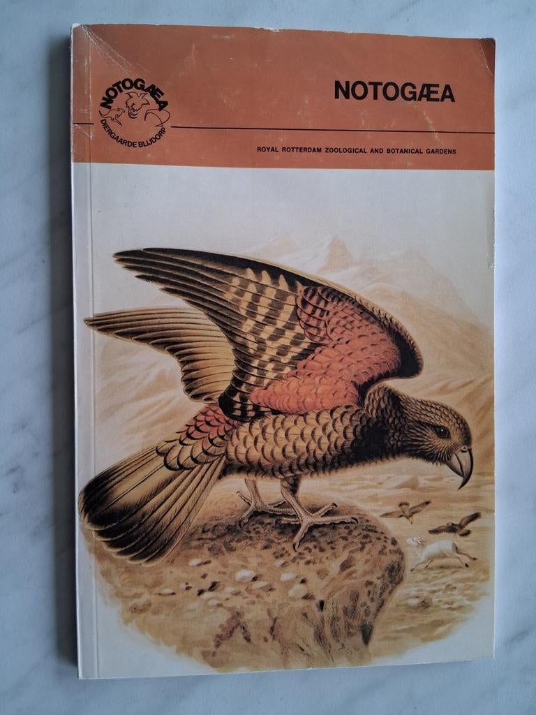 NOTOGAEA DIERGAARDE BLIJDORP, Royal Rotterdam Zoological and, Ophalen of Verzenden, Zo goed als nieuw