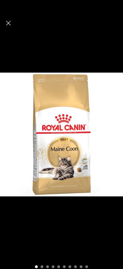 30 kilo Maine coon voer, Ophalen, Kat