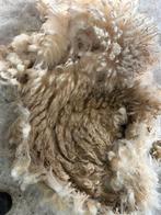 Bleu du main wol, Dieren en Toebehoren, Meerdere dieren, Schaap