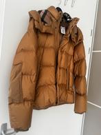 Burberry Jas, nieuw ongedragen, Ophalen of Verzenden, Nieuw, Maat 52/54 (L), Bruin