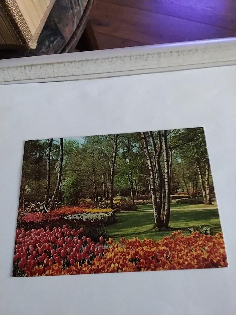 HOLLAND. 1979, Ophalen of Verzenden, 1960 tot 1980, Zuid-Holland