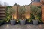 Bloempotten, set van 3,antracietgrijs beton look, 40 cm of meer, Rond, Ophalen of Verzenden, Zo goed als nieuw