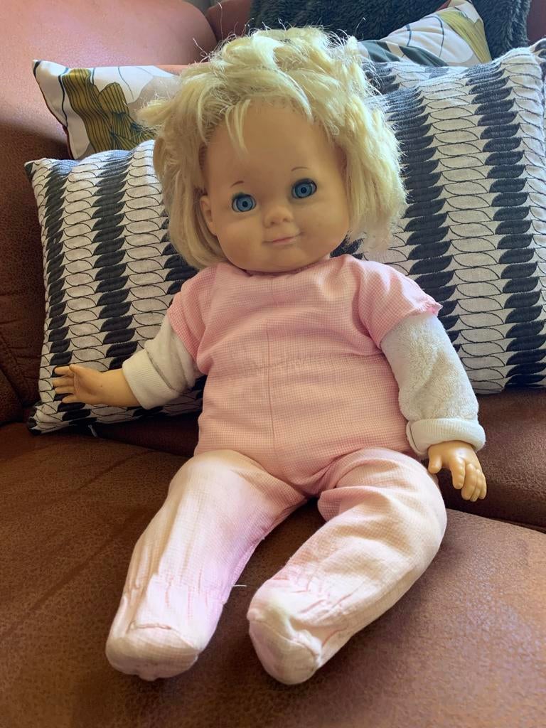 Vintage Schildpad pop uit 1968, Ophalen of Verzenden, Gebruikt, Overige typen