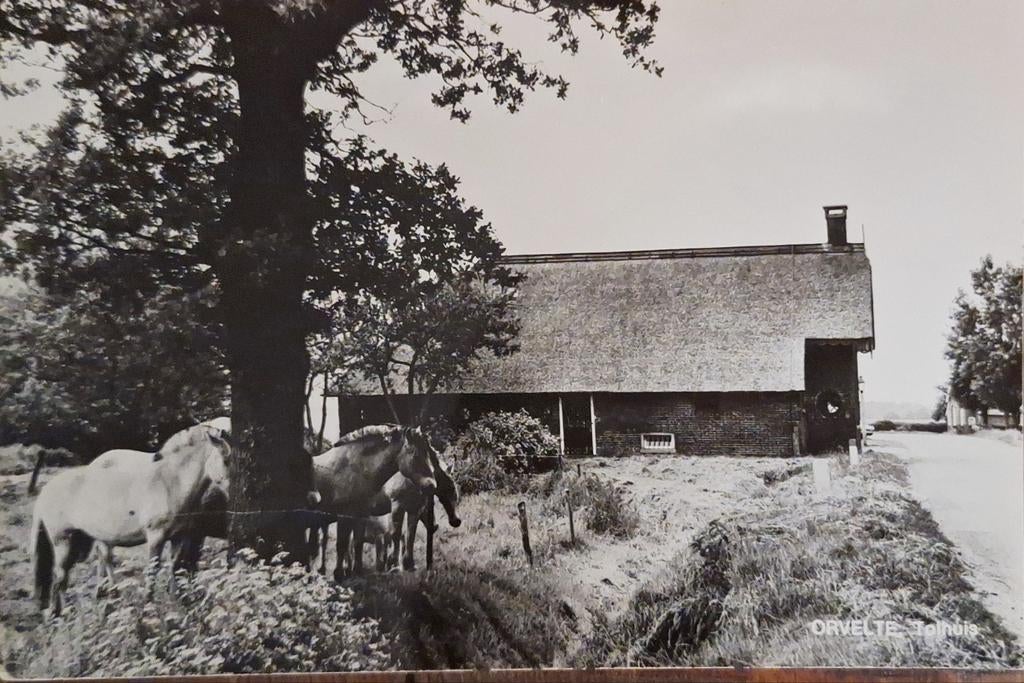 Fotokaart Orvelte - Tolhuis, Ophalen of Verzenden, 1960 tot 1980, Ongelopen, Drenthe
