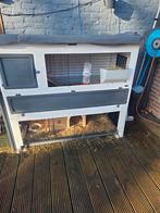 Konijnenhok inclusief buiten ren inc toebehoren!, Ophalen, 110 cm of meer, Hok, Minder dan 60 cm